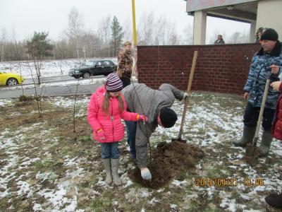 На Рязанщине приступили к высадке «Леса Победы»